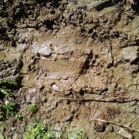 Outdoor Play: Making Muddy Footprints Isn't Always Easy.